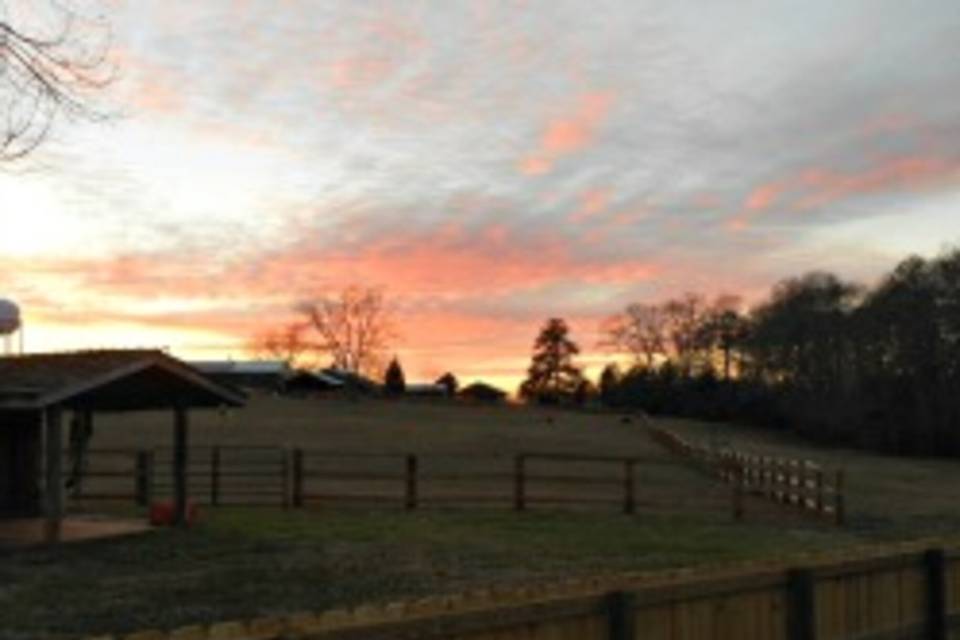 Oxford Farm
