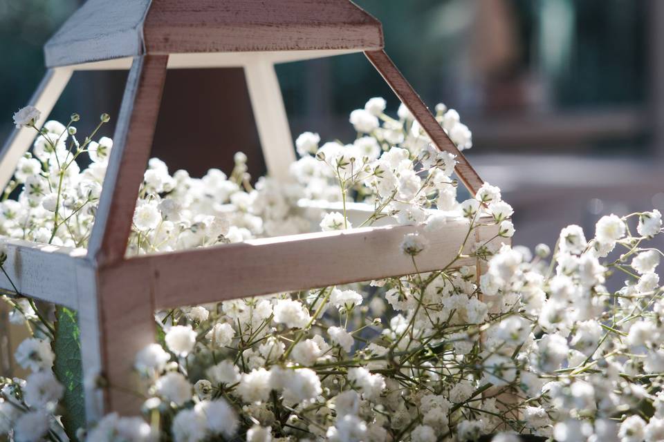 Larkspur Lane Events