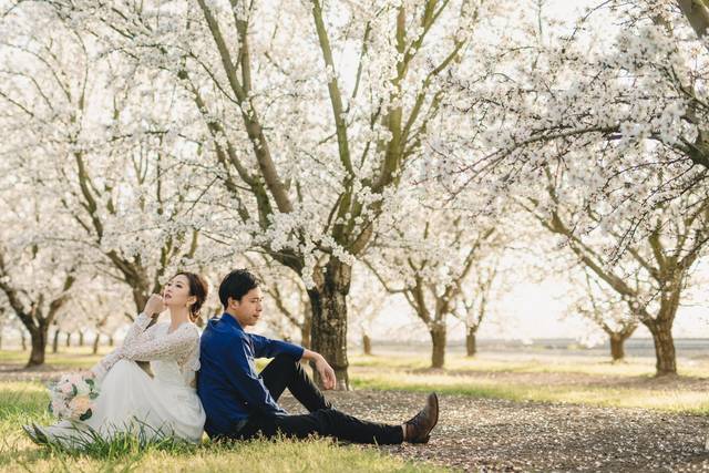 Wedding couple