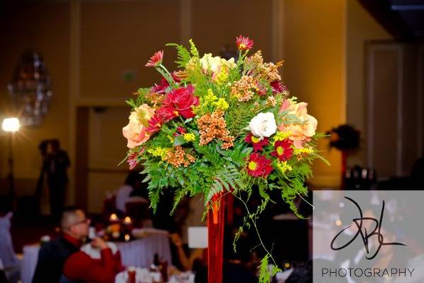 JB Lancaster Photography