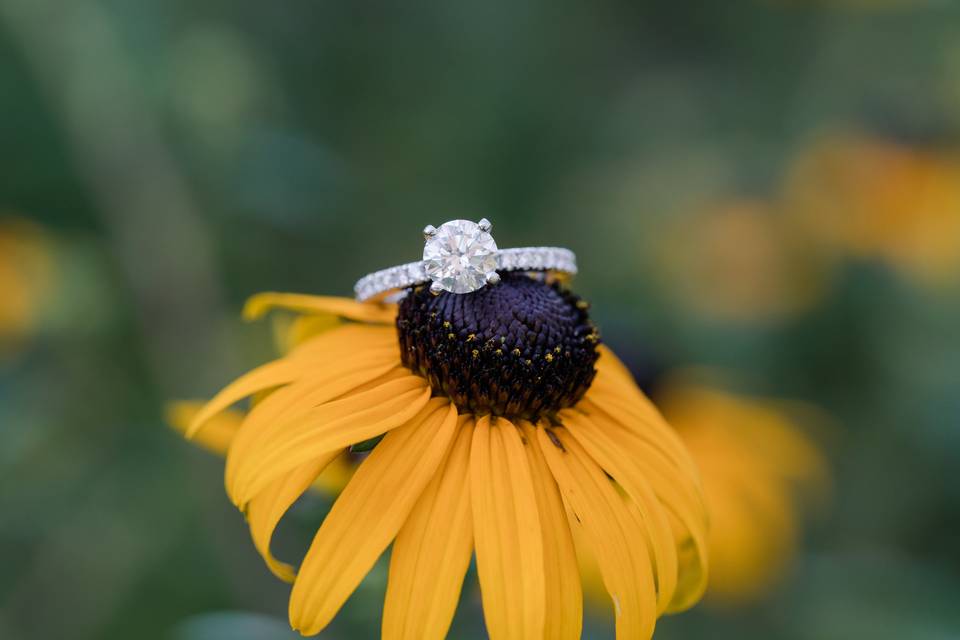 Engagement Session