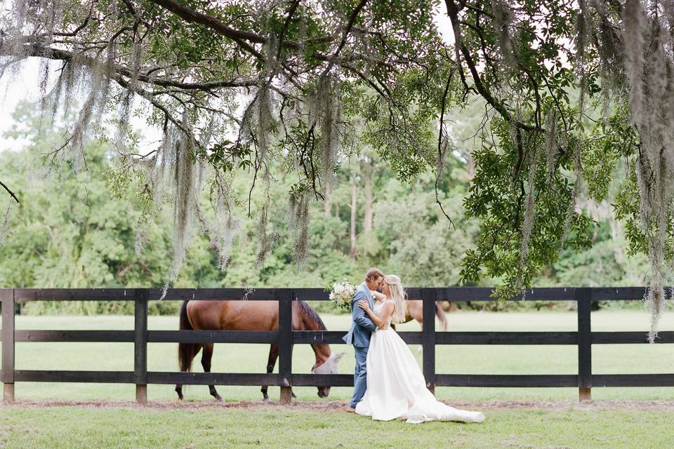 Couple with horse