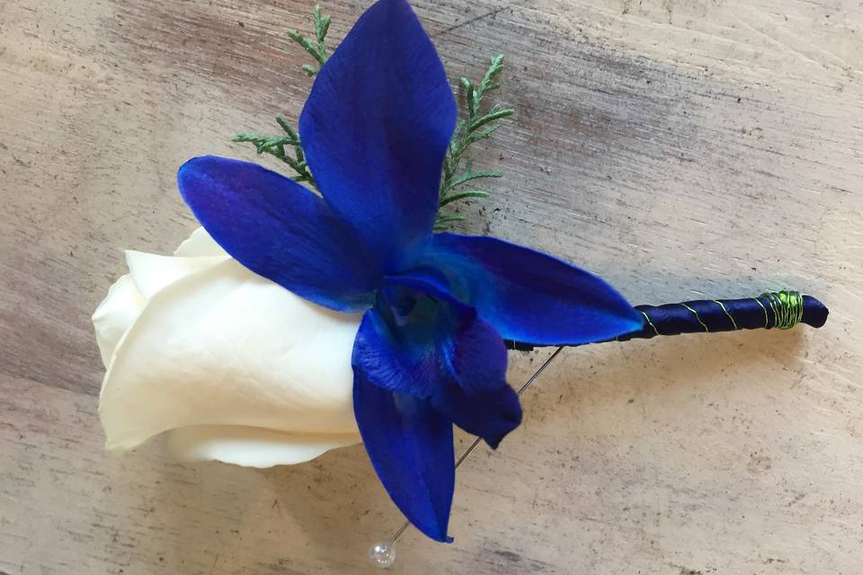 Royal blue flower