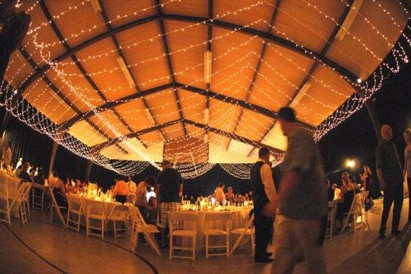 A ceiling of lights and walls draped with fabric.