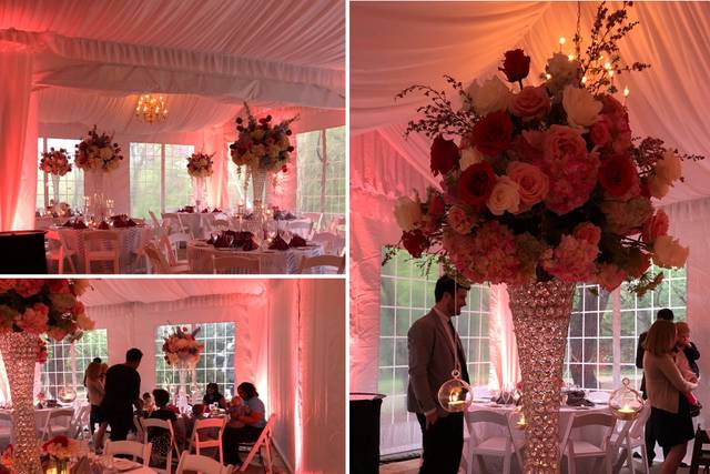 Flowers Abound