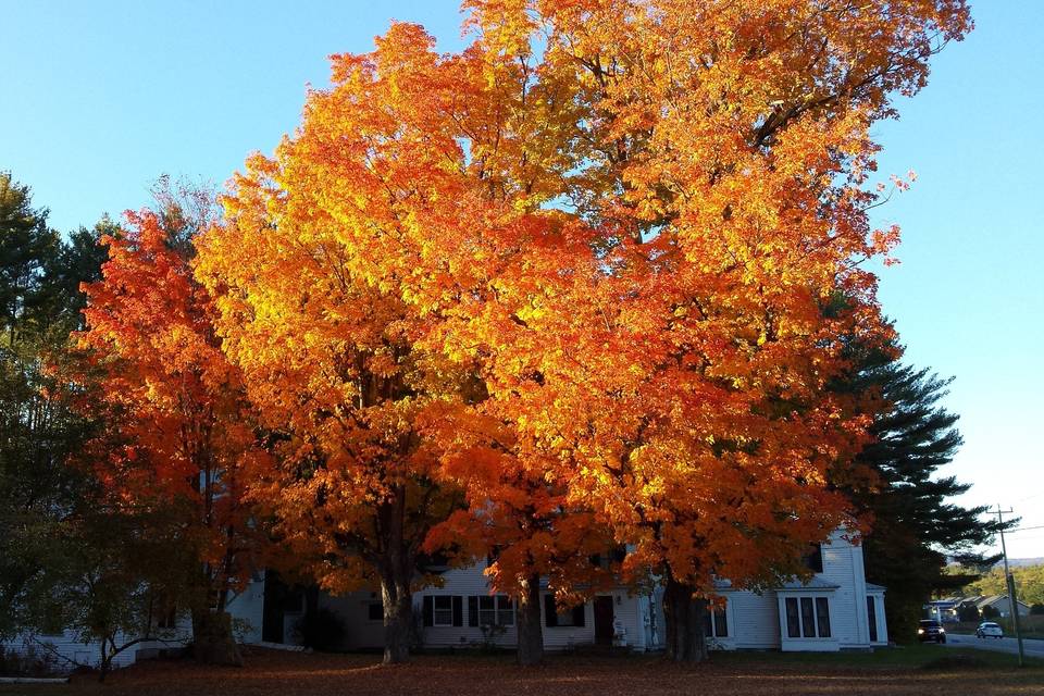 1888 wedding barn in scenic sunday river valley area#maineweddings#bethelweddings