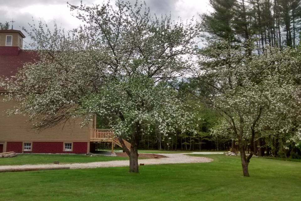 1888 wedding barn in scenic sunday river valley area#maineweddings#bethelweddings#1888weddingbarn