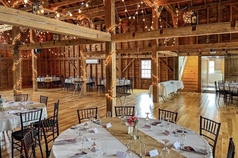 Pearl White Globe Party Lights