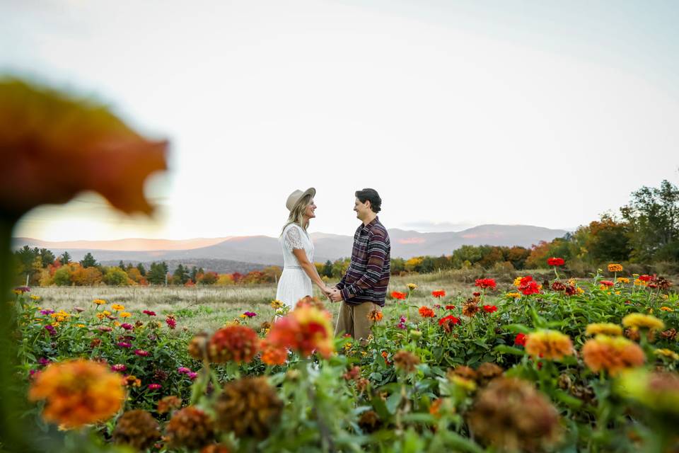 Engagement in Stowe