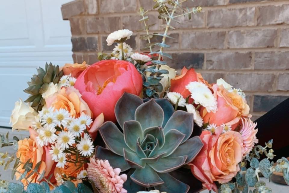 Succulent arrangement