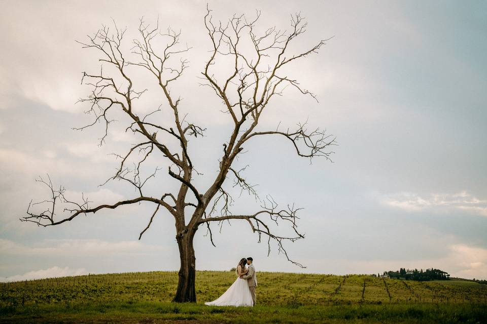 SulainisArt Wedding Photograph