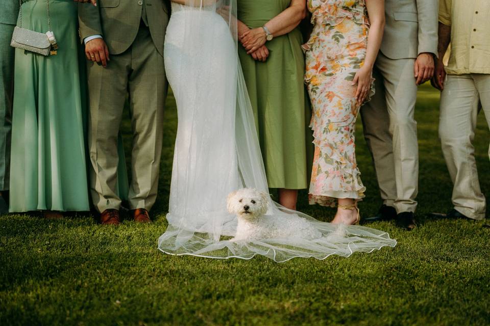 SulainisArt Wedding Photograph