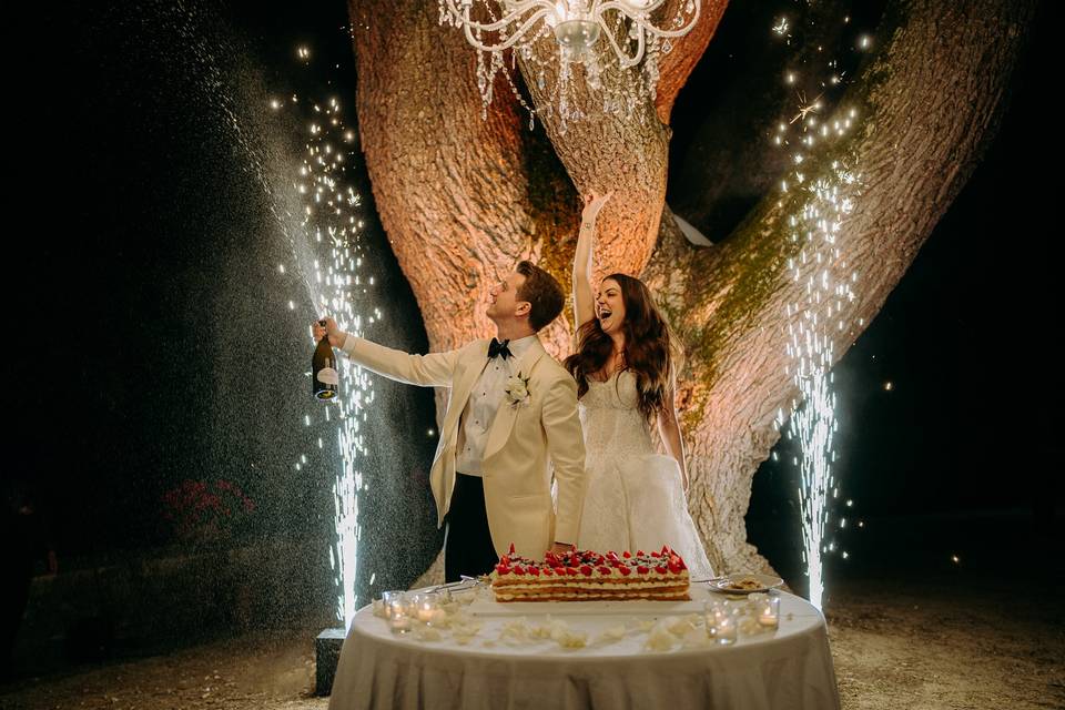 SulainisArt Wedding Photograph