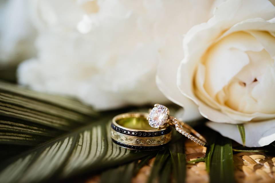Ring shots