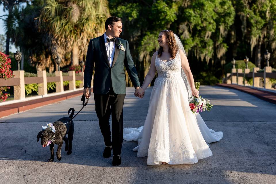 Dog Friendly Weddings