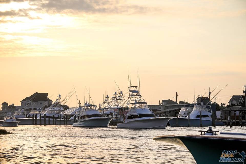 Hatteras Marlin Club