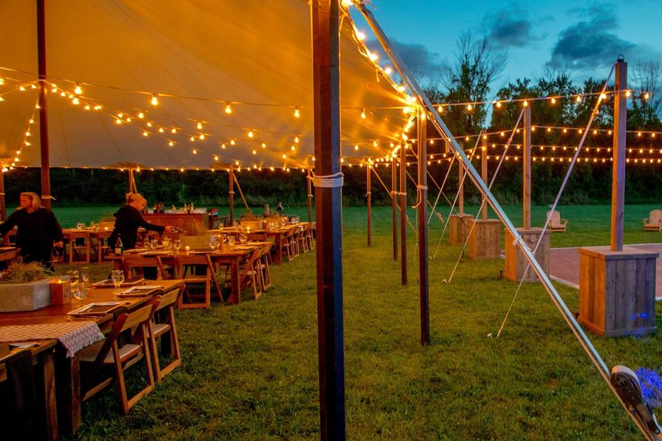 Tent & Dance Floor Bistro Lighting at Oz Farm in Saugerties, NY.