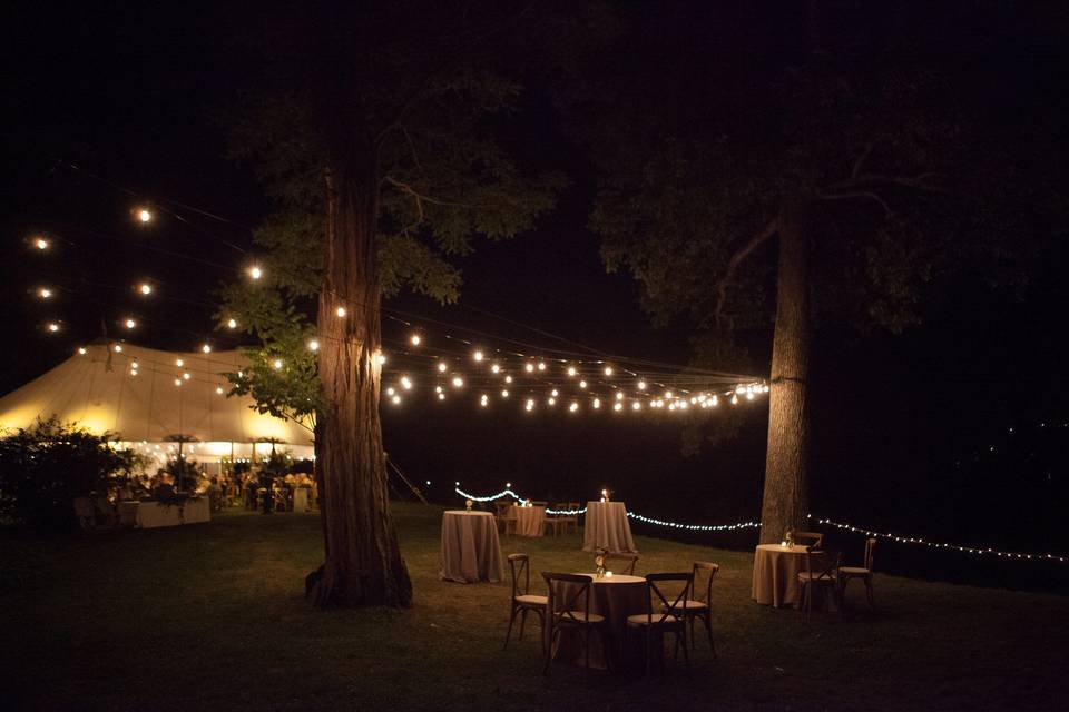 Bistro Lighting at The Southwood Estate. Photo by Sarah Greig Photography.