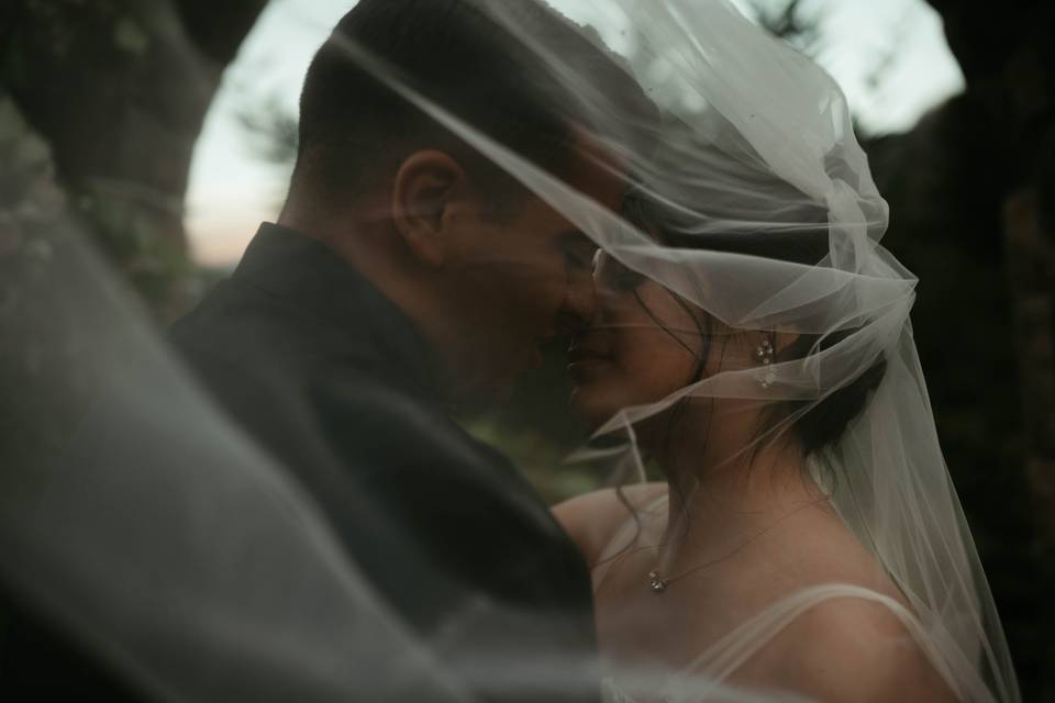 Wind swept portraits