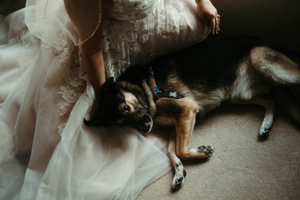 Cute dog and bride!