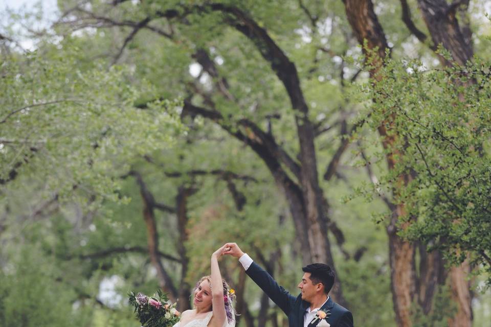 Dancing with the cottonwoods