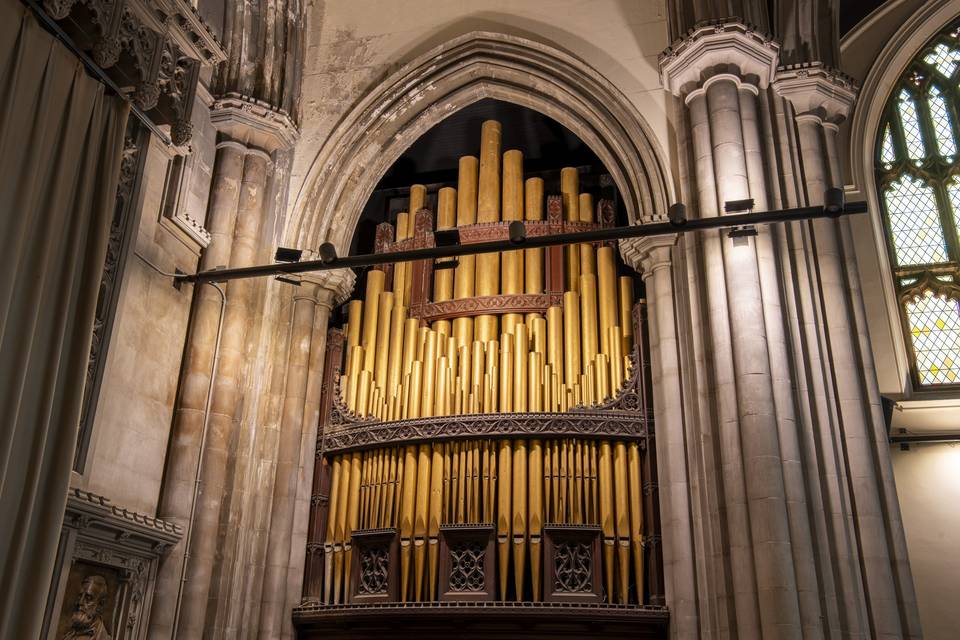 Organ Pipes