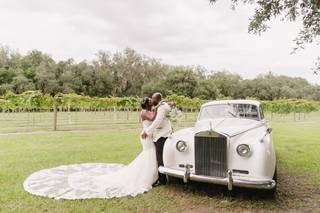 Ever After Farms Vineyard