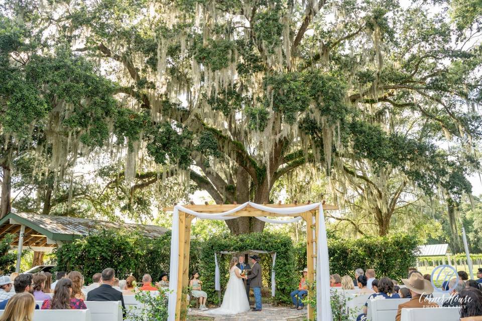 Ceremony Site 1