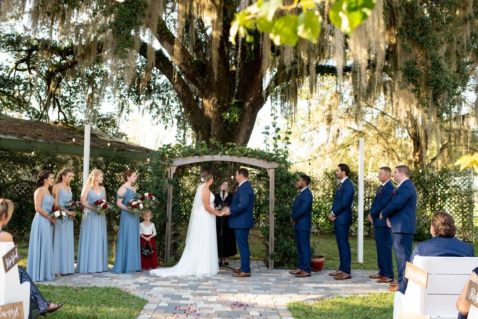 Ever After Farms Vineyard - Venue - Pomona Park, FL - WeddingWire