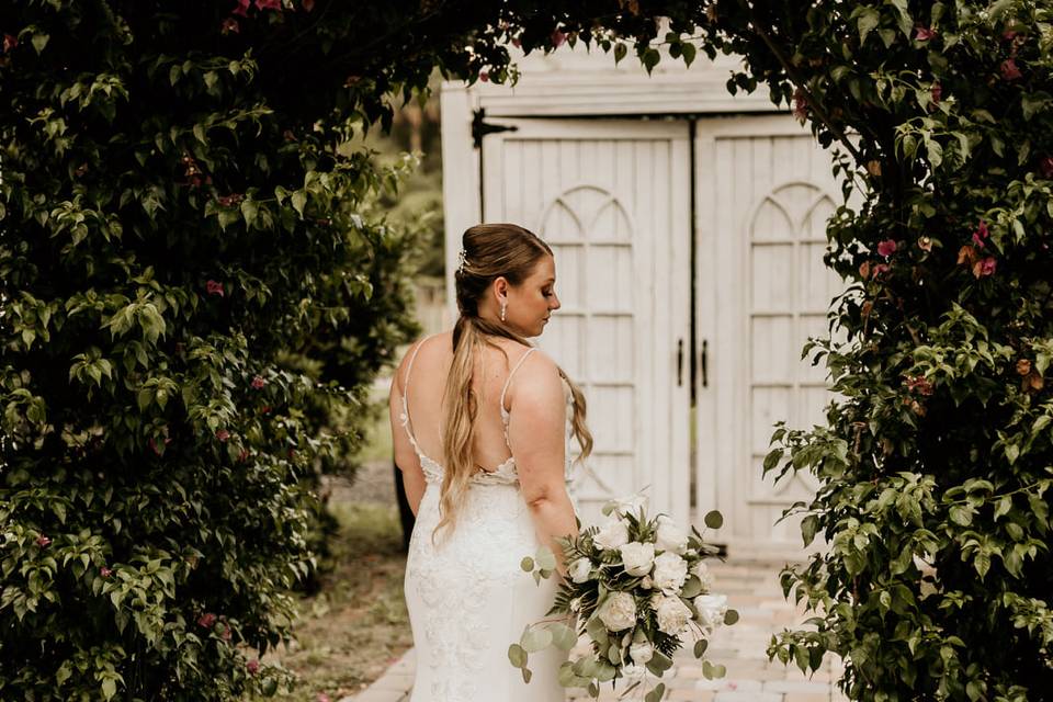 Ever After Farms Vineyard
