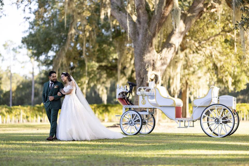Carriage