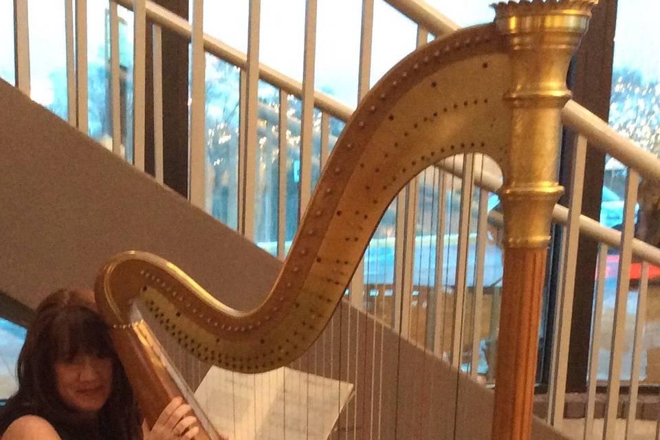 Michele with a pedal harp performing at the Fireman's Ball in Livonia