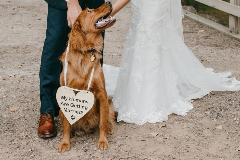 Danielle + Sam