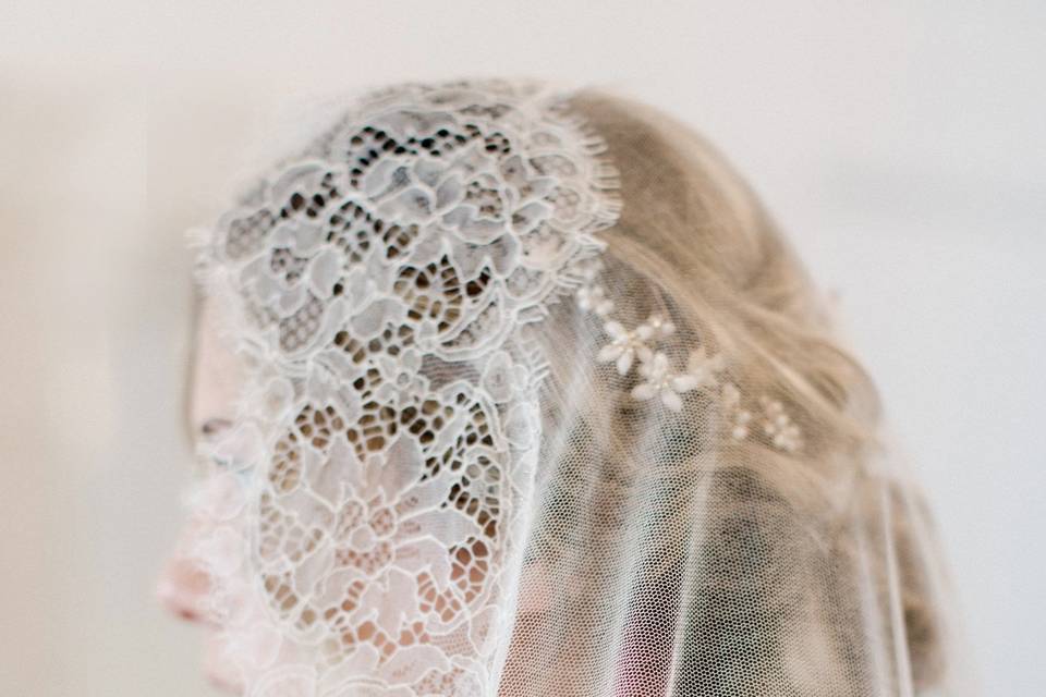 Bride portrait veil