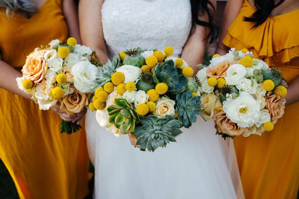 Bride and bridesmaids