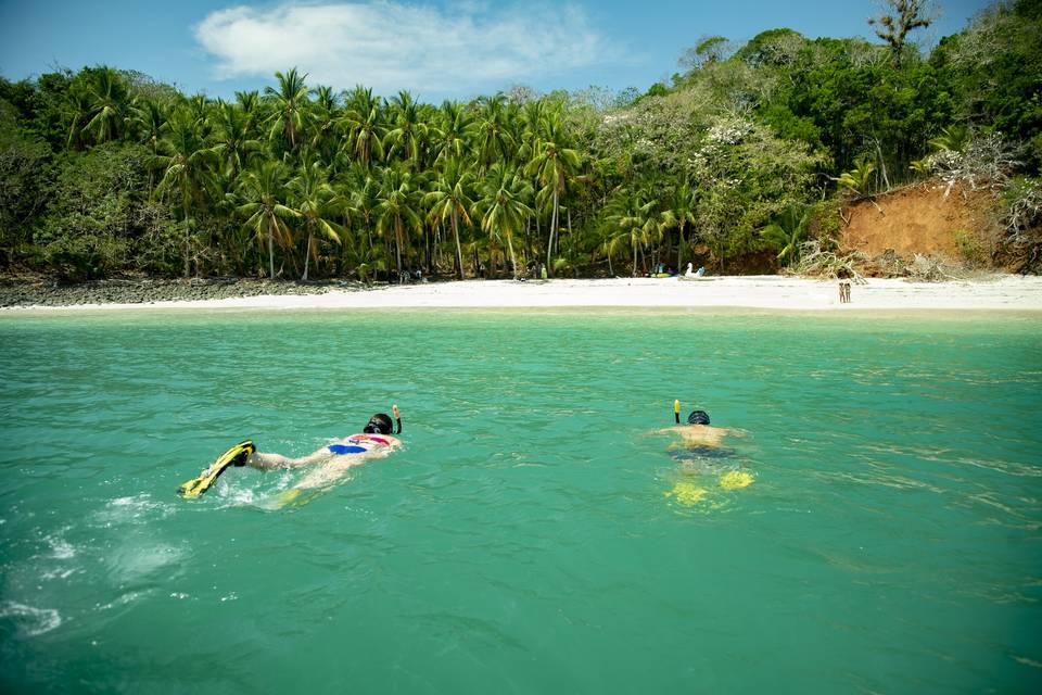 Snorkeling in Isla Palenque, Panama