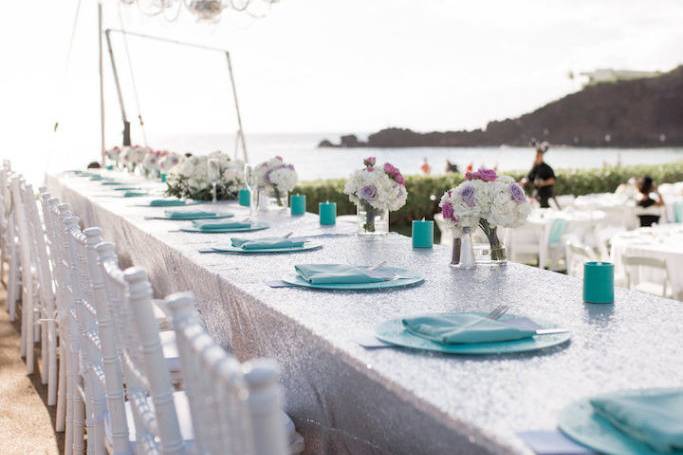 Long table for guests