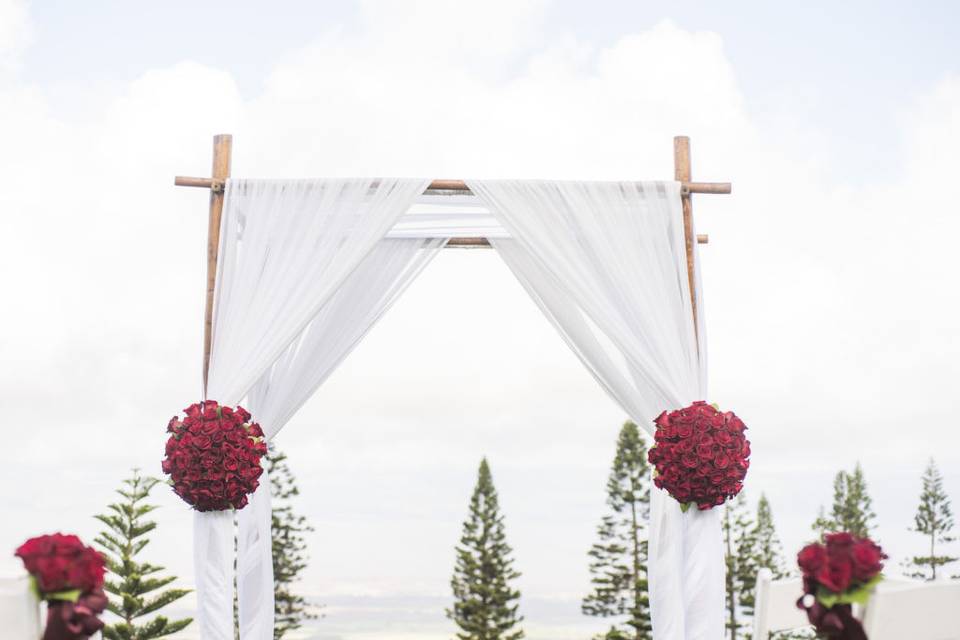 Exclusive Island Weddings