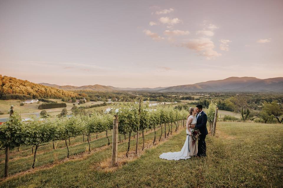 Vineyard wedding