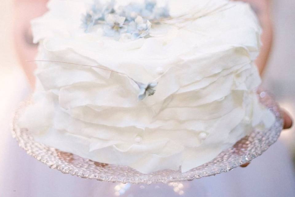 Amative Wedding, Lynchburg, VA