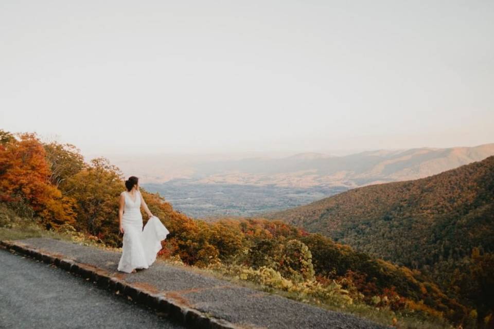 Virginia Wedding Photographer