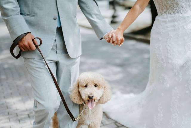 Wedding couple