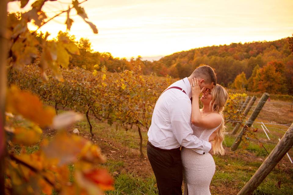 Vineyard love at sunset