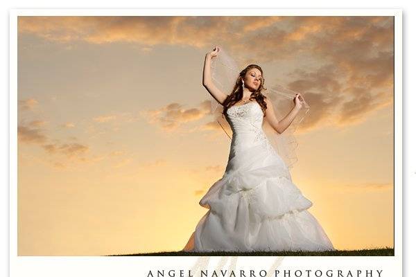 A late day sunset portrait of a bride in her wedding dress holding her veil above her shoulders.