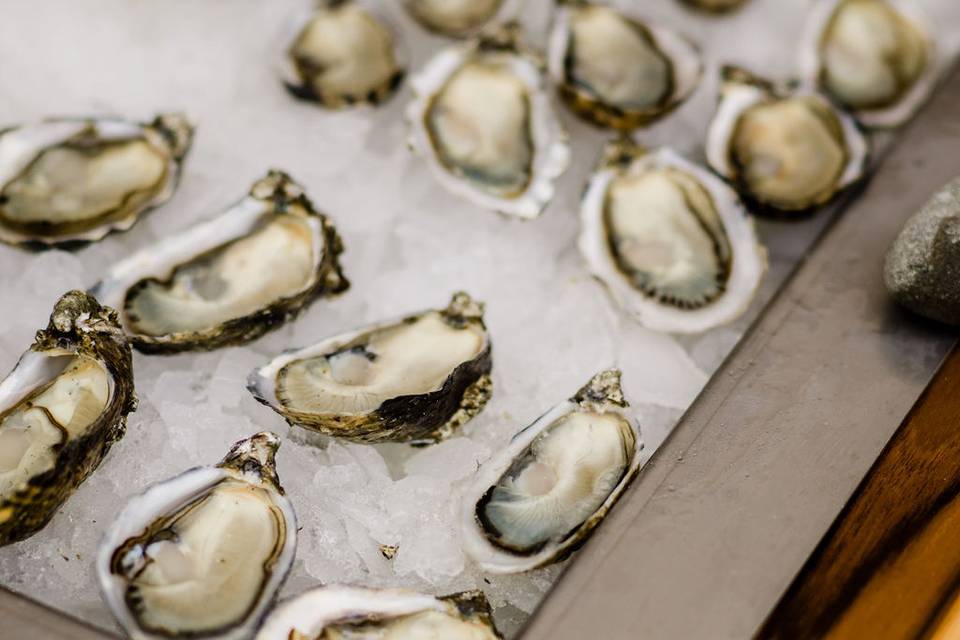 Pop-Up Oyster Bar