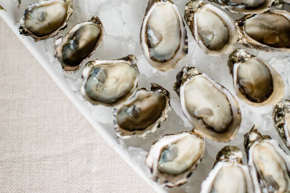 Pop-Up Oyster Bar