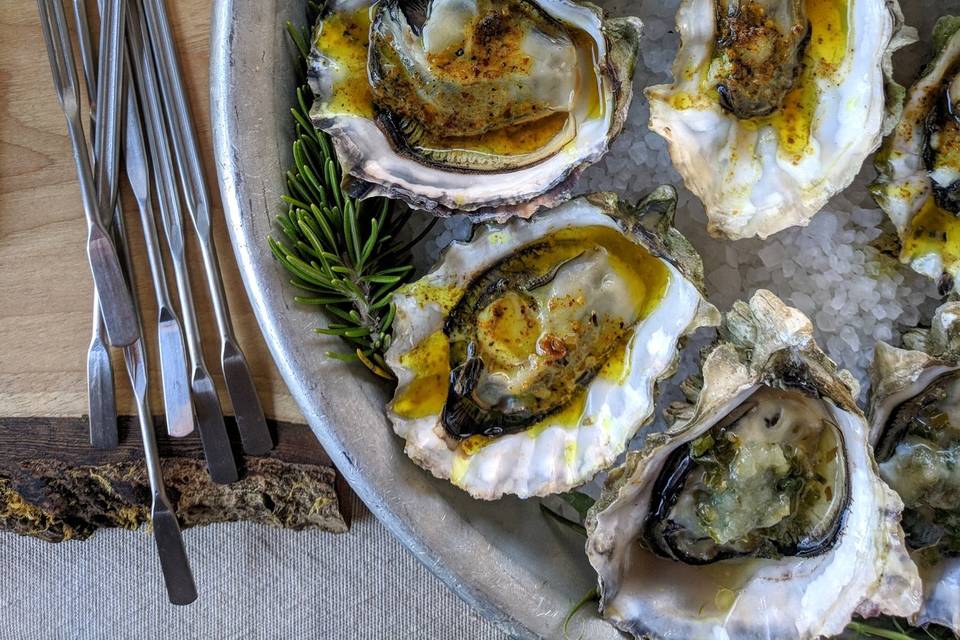 Oysters up close