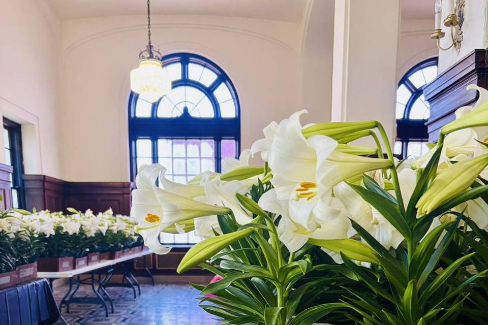 Terrace Room