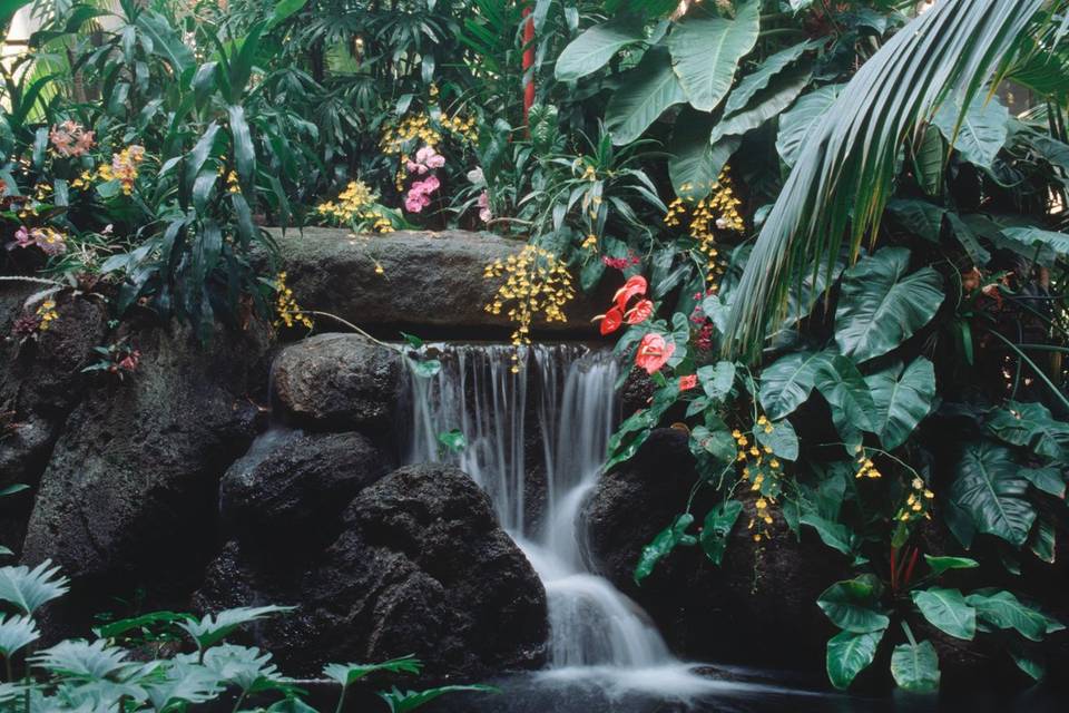 Disney's Polynesian Resort