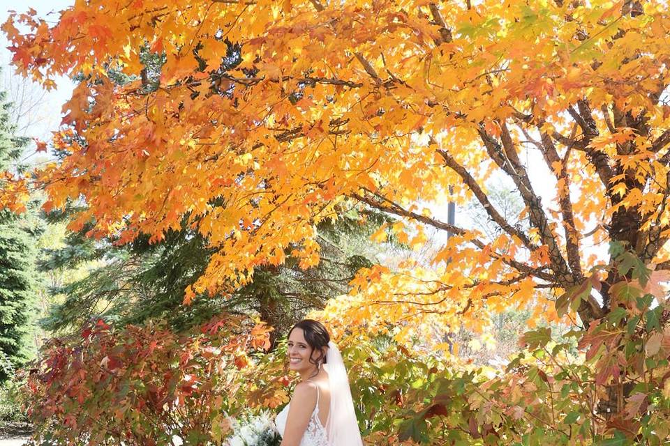 Here Comes The Bride